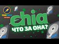 Chia откуда взялась? | Майнинг на жестких дисках | "Зеленый" Биткоин?