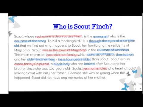 To Kill A Mockingbird (Scout character description)