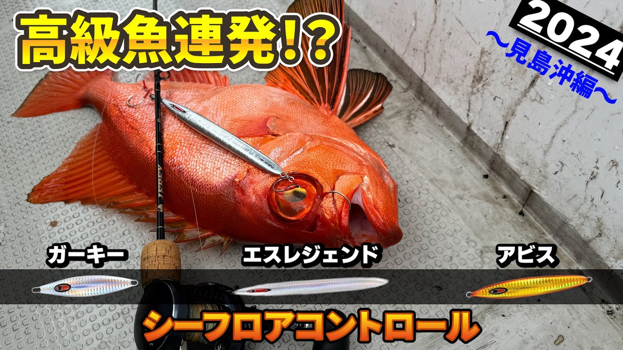 【スロージギング】ジグのローテーションで高級魚連発！？