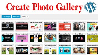 How to create photo gallery in wordpress |2023| Part 8|#youtube #wordpress