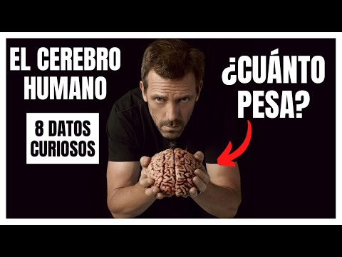 8 Sorprendentes Curiosidades sobre el Cerebro Humano | Celebramos 1.000 Suscriptores