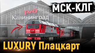 ЯНТАРЬ - обзор поезда 029 Калининград - Москва