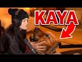 My Dog TOOK OVER my stream!