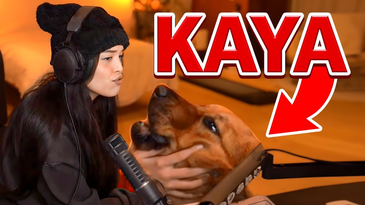 My Dog TOOK OVER my stream!