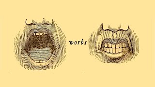 1. Worbs: when political terms have no meaning | What is Politics?