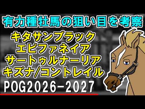 【POG2026-2027】有力種牡馬5頭の狙い目を考察！種付け料倍増世代のキタサンブラック/2世代目での巻き返しはどうなるコントレイル【リュウタロウ/競馬Vtuber】