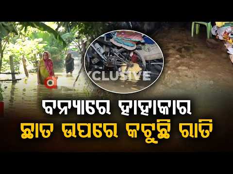 Subarnarekha River Flood Updates: Families Stranded On Roofs In Bishnupur, Balasore | Argus News