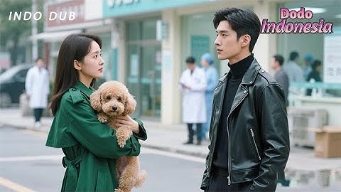 CEO yang 30 tahun jomblo jatuh cinta pada pemilik anjing ini!