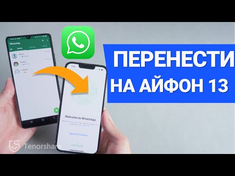 как перенести ВСЕ ЧАТЫ WhatsApp с Andriod на iPhone 13