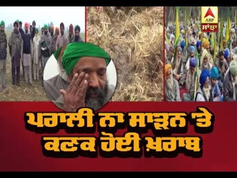 ਪਰਾਲੀ ਨਾ ਸਾੜਨ `ਤੇ ਕਣਕ ਹੋਈ ਖਰਾਬ | ABP Sanjha |