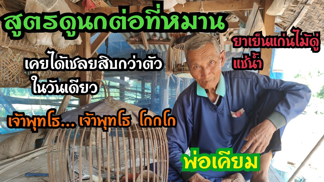 ปรมาจารย์นกเขาใหญ่... สูตรดูนกหมาน วันเดียวเคยต่อได้สิบกว่าตัว...!