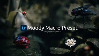 Lightroom mobile presets | DNG File | Moody macro | Photo Editing | Best Macro photograph preset screenshot 5