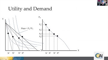 GAI Online Lecture Series - Demand