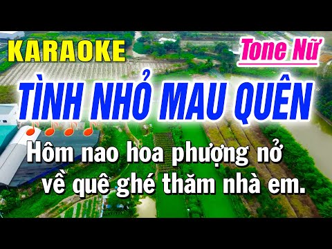 Karaoke Tình Nhỏ