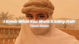I Know What You Want X Sabry Aalil (Tiktok Remix) screenshot 4