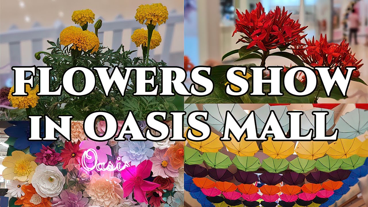 Flowers Show at Oasis Mall Planting Seeding Beautiful Flowers