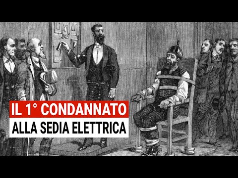 Video: Dove sono stati filmati gli omicidi alla deriva del tasso?