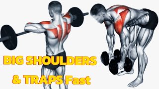 7 Best Shoulder & Traps Exercises | Build Bigger Shoulders Fast 💪