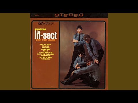 The In-Sect — Ticket to Ride
