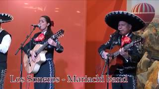 Mariachi Los Soneros - authentic Mexican musicians & singers