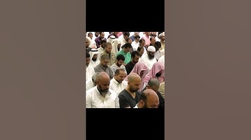تلاوه خاشعه - المقام العراقي [ الشيخ ناصر القطامي]
