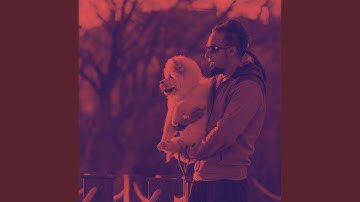 Pulsating Cooling Off Pups