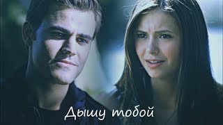 Stefan+Elena ║ Дышу тобой(HBD xTwilight Fox)