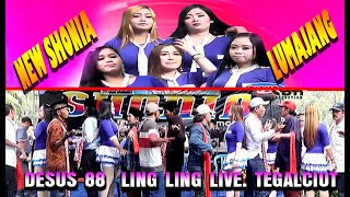 Download Lagu NEW SHONIA TERBARU - LING LING LIVE TEGALCIUT MP3 Download Lagu NEW SHONIA TERBARU - LING LING LIVE TEGALCIUT MP3
