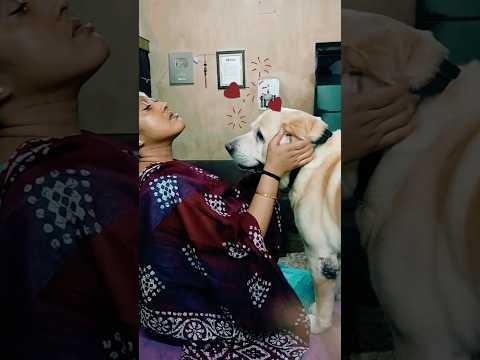 Mum Is Sick But Coco Wants Love Funny Cocobaby Lovecoco Viralshorts Viralvideo Cocomelon