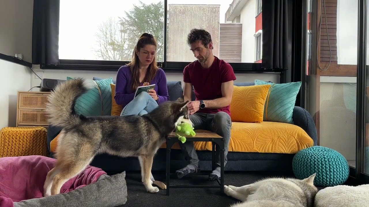 Formation ISCA Muzo+ - Semaine 17 - Entretien client