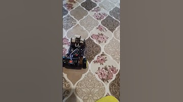 AI robot, face detection, object detection