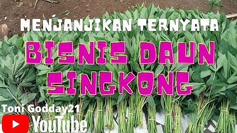 IDE BISNIS DAUN SINGKONG   #Shorts