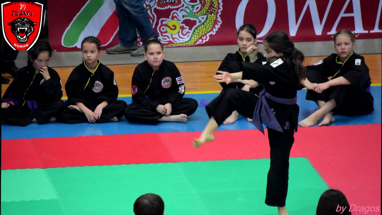 BAO ROMAN - CAMPIONATUL EUROPEAN DE QWAN KI DO, VERONA, MARTIE 2016