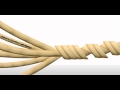 Rope Interactive Animation