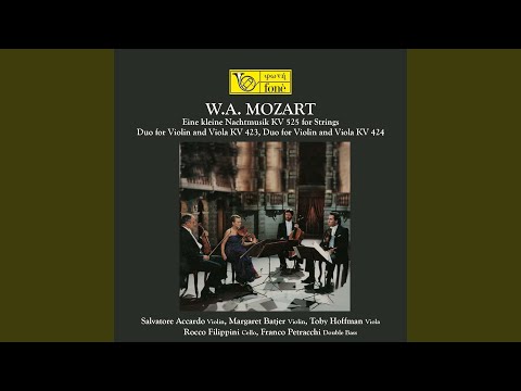 Eine kleine Nachtmusik for Strings, KV525: IV. Rondò-Allegro bekijken op YouTube