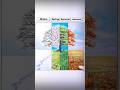 How To Draw Winter Spring Summer Autumn Season Drawing Easy Shorts Art Drawing Viral 