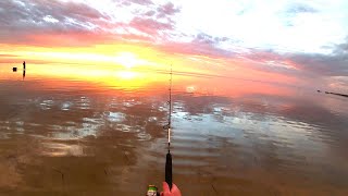 Land Based Lure Fishing | BASSDAY SUGAPEN & HALCO TWISTY | South Australia