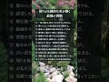 周りと圧倒的な差が開く最強の習慣12選 #人間関係 #言葉 #自己啓発 #お金 #習慣