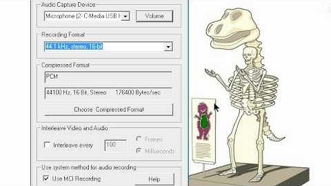 THE ABSOLUTE BEST CAMSTUDIO SETTINGS TUTORIAL!