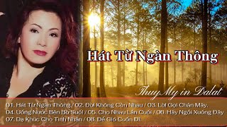 Album THUÝ MỸ ~ HÁT TỪ NGÀN THÔNG | Thuy My in Dalat