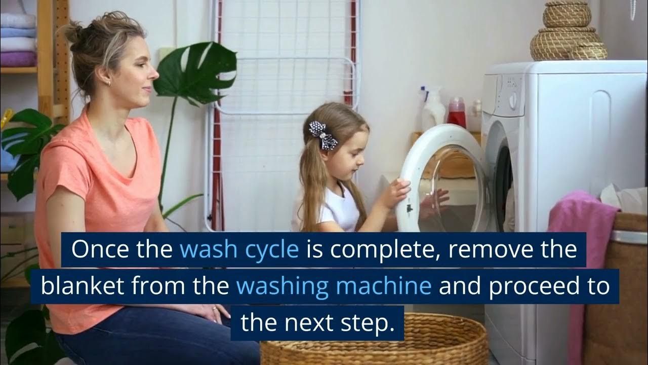 How to Get Dog Smell Out of Blankets [Detailed Guide] YouTube