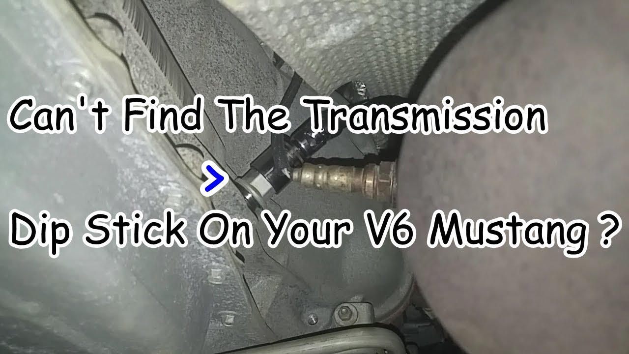 Top 300 + 2005 ford mustang transmission