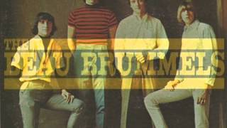 Video thumbnail of "The Beau Brummels • Still In Love With You Baby (US 1965)"