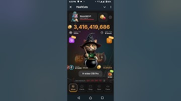 4 November Hashcats telegram mining game combo cards and staking code