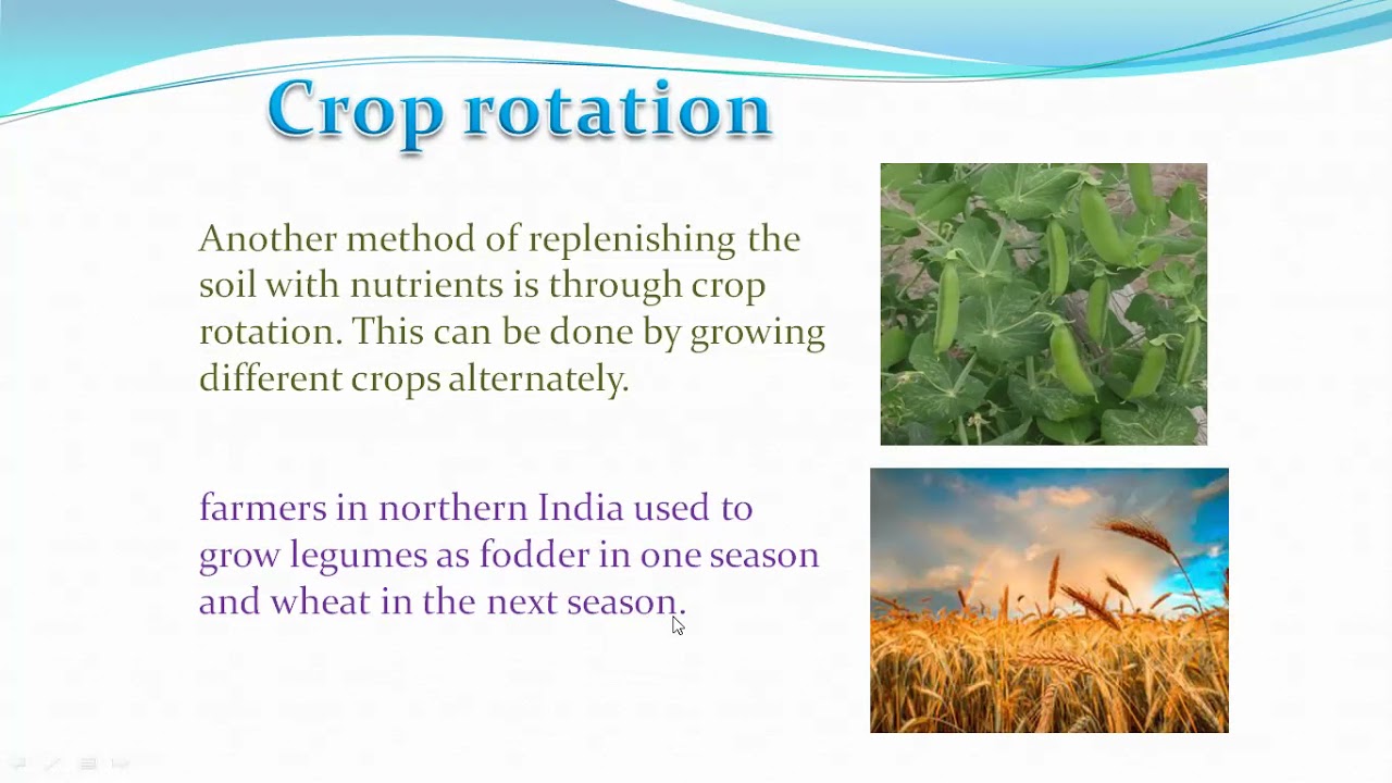 Class8 Crop production and management cropproductionandmanagement 