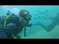 Reef, Herzlia 4K