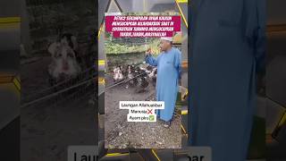 Power Of Godturkeys Chant Takbir In Unison Following Their Owner fypviral trendingshorts
