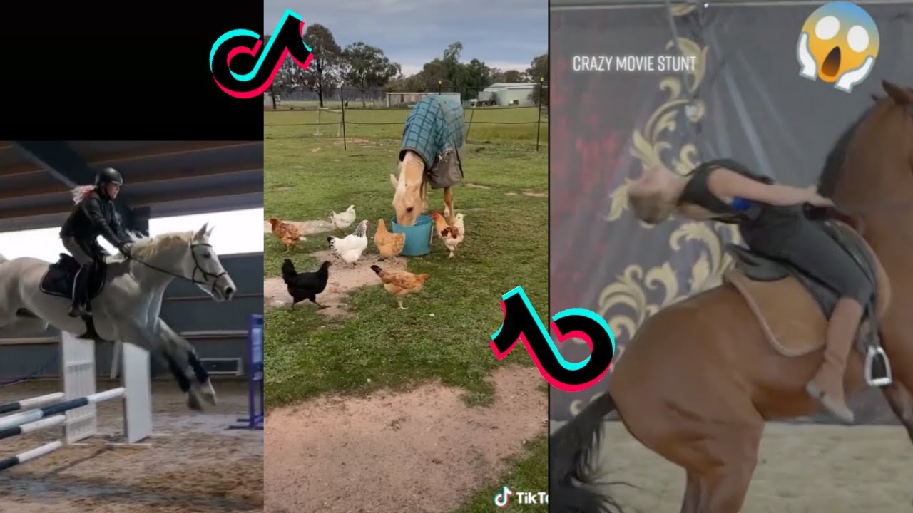 MOST Famous Horse riding 🐴 TikTok compilation Satisfying Equestrian TikToks YouTube