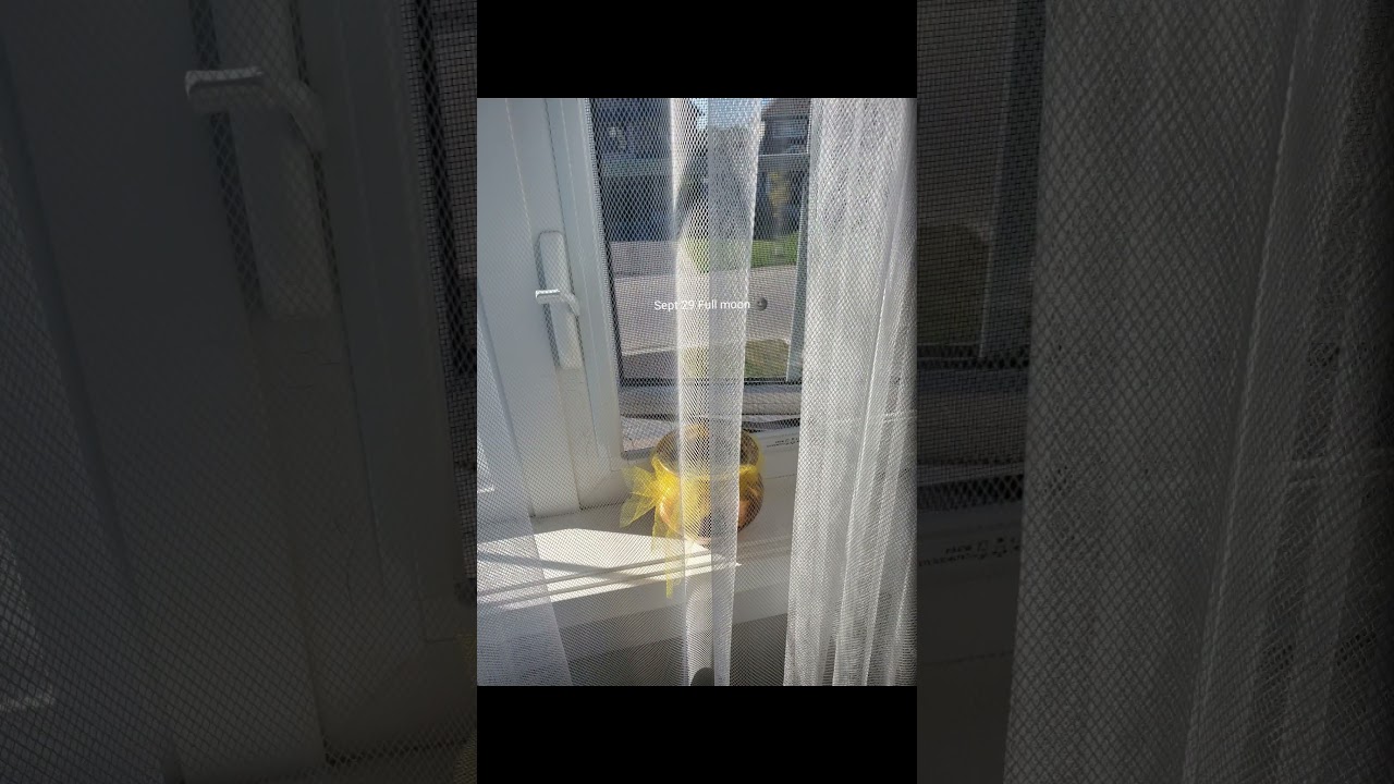 Super Full moon 🌚 Manifest your dreams tonight by collecting moon water 🤍  