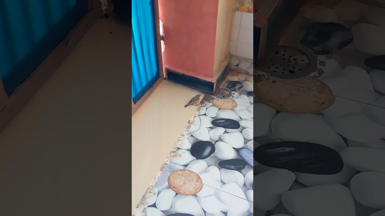 when when was running the time bird  got hot